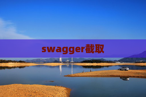 swagger截取